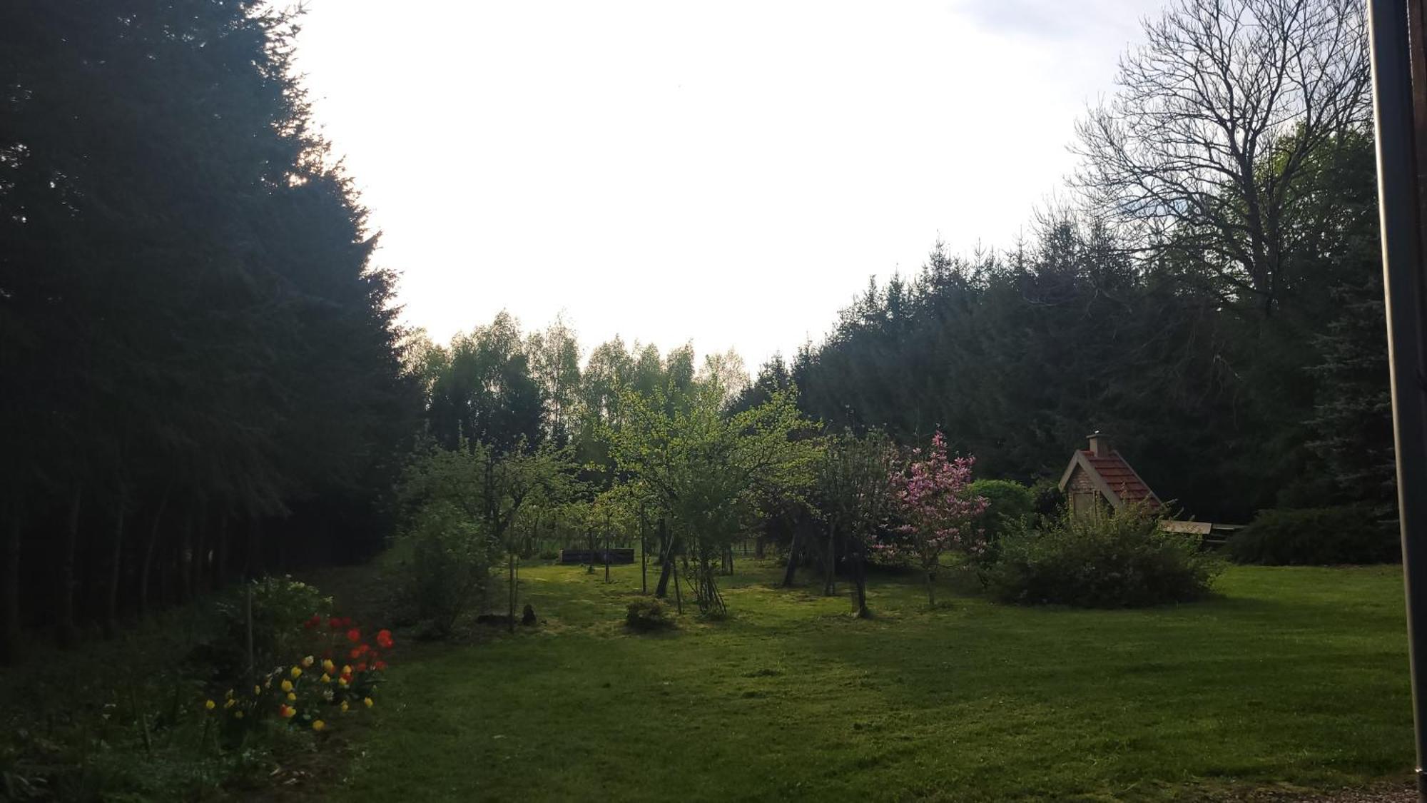 Villa Dzikie Wino Budry Esterno foto