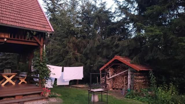 Villa Dzikie Wino Budry Esterno foto